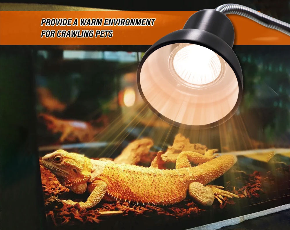 Reptile Heat Lamp Light