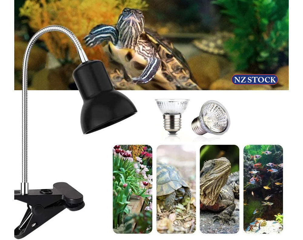 Reptile Heat Lamp Light