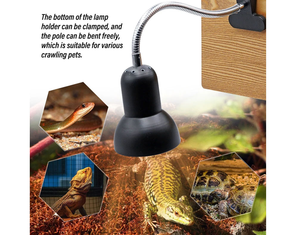 Reptile Heat Lamp Light