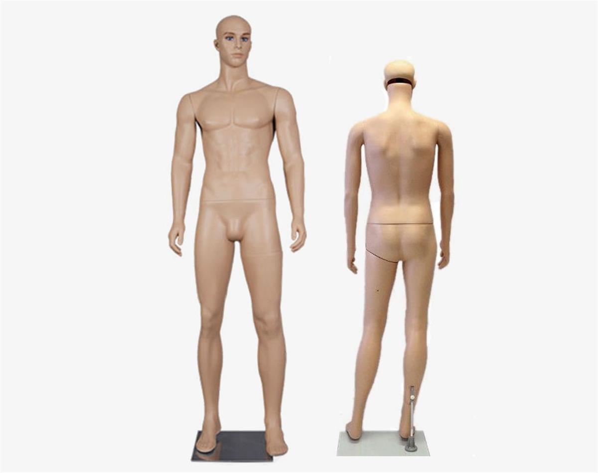 Male Mannequin Full Body (M-4)