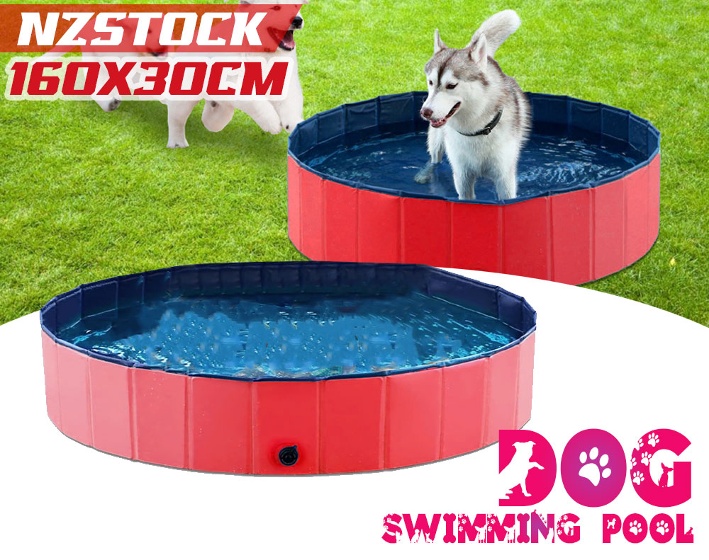 Dog Swimming Pool